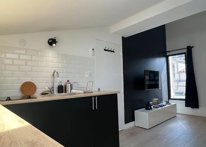 L'ecrin De Bayard - Climatise Hyper-centre トゥールーズ